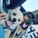 Tory - @tory_____ward_h.3 - Instagram