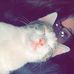 Tory Wilson - Facebook