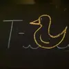 Tory Wilson - @torywilson12 - TikTok