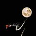Trisha Hicks - Facebook