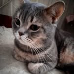Tosha_scottish_ - @tosha__scottish__ - Instagram