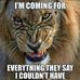 Toviah Jamison - Facebook