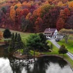 Toymaker Farm - @toymakerfarm - Instagram