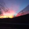 forestnymph - @tracecarter6 - TikTok