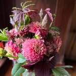 Tracy Carter - @livingsowful - Instagram
