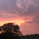 Trace Edwards - @_withouta_trace_ - Instagram