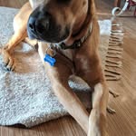 Trace Edwards - @traceedw99 - Instagram
