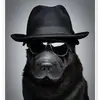 Traceiskindacool6345 - @traceedwards28 - TikTok
