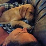 Trace Maxwell - @tracebmax - Instagram