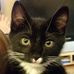 Trace Wilson - Facebook
