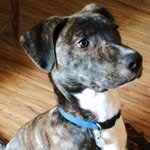 Trace Wilson - @tracewilson525 - Instagram