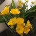 Tracey Wilson - Facebook