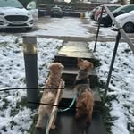 Tracy Lewis - @tracylewis168 - Instagram