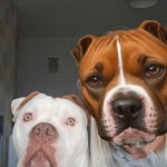Tracey Phillips - @traceyphillips8484 - Instagram