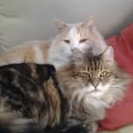 Tracey Phillips - @tracey.phillips.9634 - Instagram