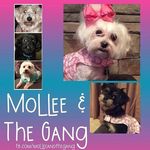 Tracee Smith - @molleeandthegang - Instagram