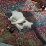 Tracee Thomas Docos - @traceed728 - Instagram
