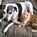 Tracey Abbott - @traceyabbott38 - Instagram