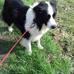 tracey abbott - @traceyabbott79 - Instagram