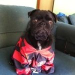 Tracey Abbott - @traceyabbott - Instagram