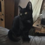Tracey Allan - @tracey.allan.69 - Instagram