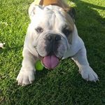 Tracey Allan - @tracey.allan.524 - Instagram