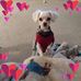 Tracey Albers - Facebook