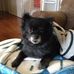 Tracey Avery - Facebook