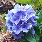 Tracey Barley - @traceybarley4306 - Instagram