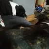 starrtraceybaxter - @starrtraceybaxter081 - TikTok