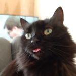Tracey Baxter - @rebel_katz - Instagram