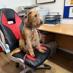 Tracey Baxter - @traceybaxter61 - Instagram