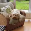 Tracey Baxter - @tracey.baxter6 - TikTok