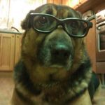 Tracey Beach - @energe20002003 - Instagram