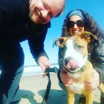 tracy bernstein - @tracy_bernstein_12 - Instagram
