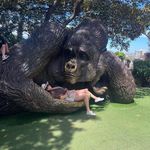 Tracey Berry - @tracey.berry64 - Instagram
