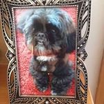 Tracey Berry - @tracey_berry1 - Instagram