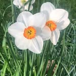 Tracey Bibb - @tracey.bibb.31 - Instagram