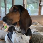 Tracey Bohner Riggle - @traceybohner - Instagram
