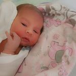Tracey Bray - @traceybray3 - Instagram