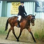 Tracey Bray - @bray_tracey - Instagram