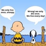 Tracey Brewer - @tbrew62 - Instagram