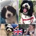 Tracy Brunskill - Facebook