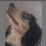 Tracey Bryant Fine Art - @traceybryantfineart - Instagram