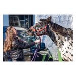 Tracey Buckley - @tracey_buckley2000 - Instagram