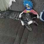 Tracey L Burhoe - @traceylburhoe - Instagram