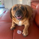Tracey Burrell - @traceyb1967 - Instagram