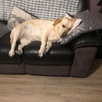 Tracey Cartwright - @tracey.cartwright.585 - Instagram