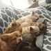 Tracy Cartwright - Facebook