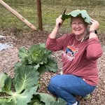 Tracey Cavender - @homesteadcomelately - Instagram
